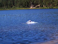 Beautiful women of a certain age show off their skills.