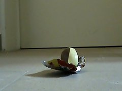 Classy-looking experienced chicks demonstrate their skills